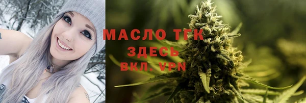 apvp Карпинск
