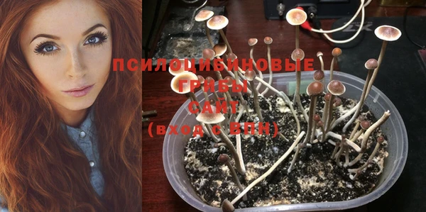 крисы Касимов
