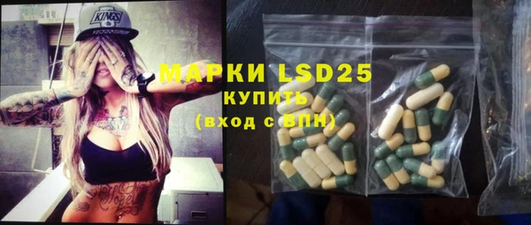 соль ск Новодвинск