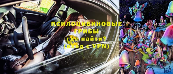 стаф Новозыбков