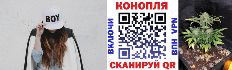 сколько стоит  Александровское  Марихуана тримм 